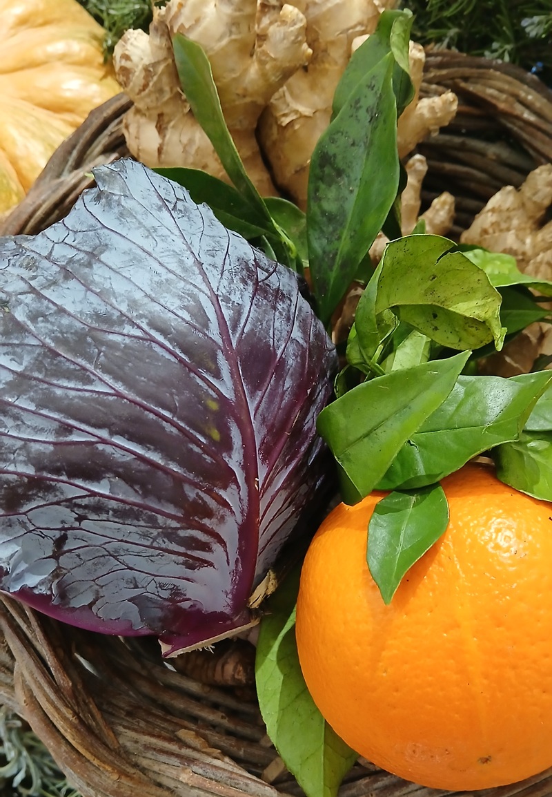 Cavolo rosso, arancia con foglie, radici di zenzero e zucca in un cesto di vimini intrecciato
